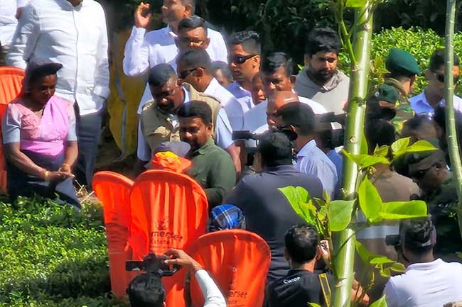 ජනපති අනුරට වතු සේවකයින්ගෙන් ලැබුණු උණුසුම් පිළිගැනීම