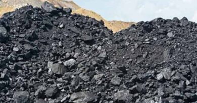 ගල්අඟුරු ගනුදෙනු විමර්ශනය කරන ජනපති කොමිසම වැඩ අරඹයි